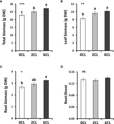 Nitrogen assimilation and photorespiration become more efficient under chloride nutrition as a beneficial macronutrient